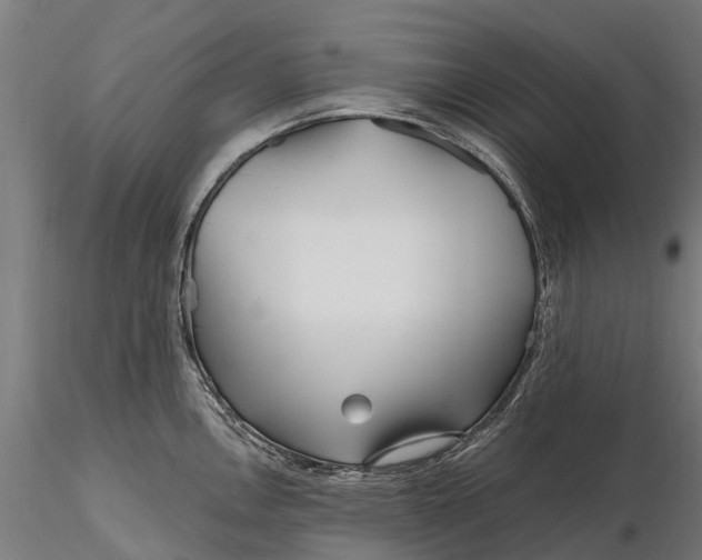 X0000115691146200912031436