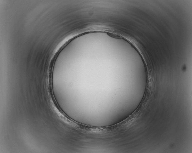 X0000115691147200912031436