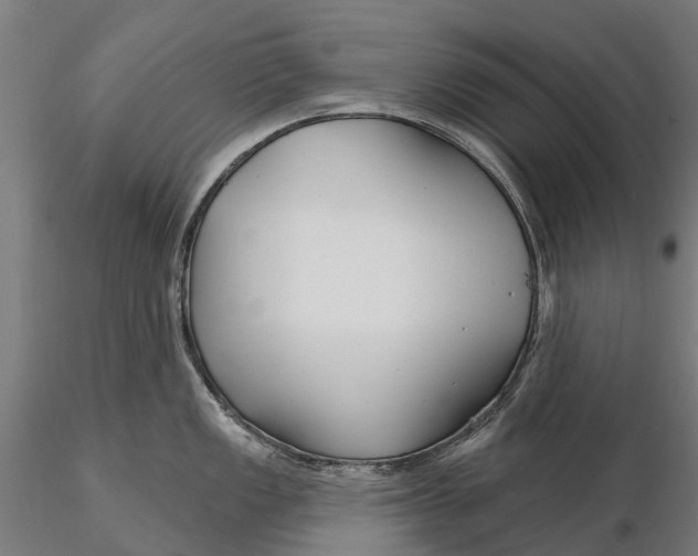 X0000115691149200912031436