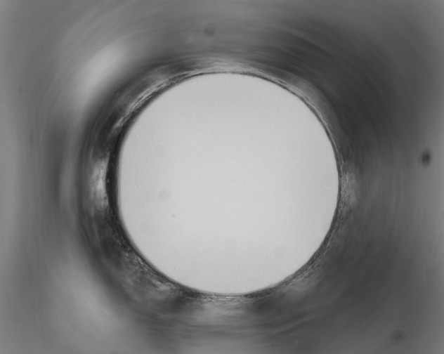 X0000115691150200912031436