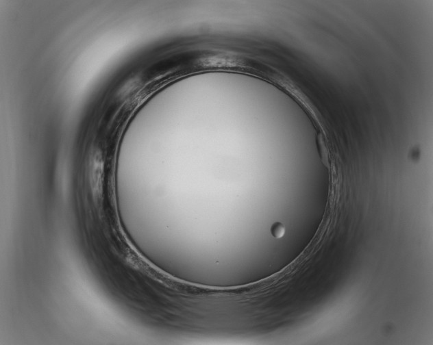 X0000115691151200912031436