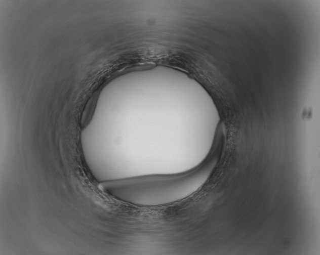 X0000115691153200912031436