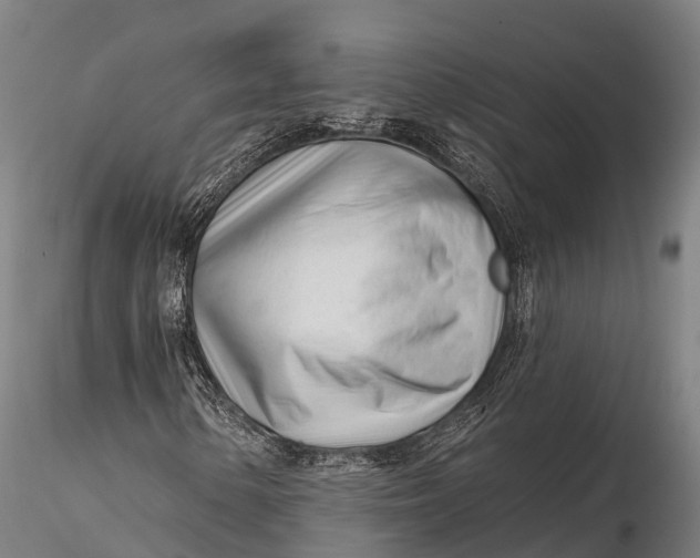 X0000115691154200912031436