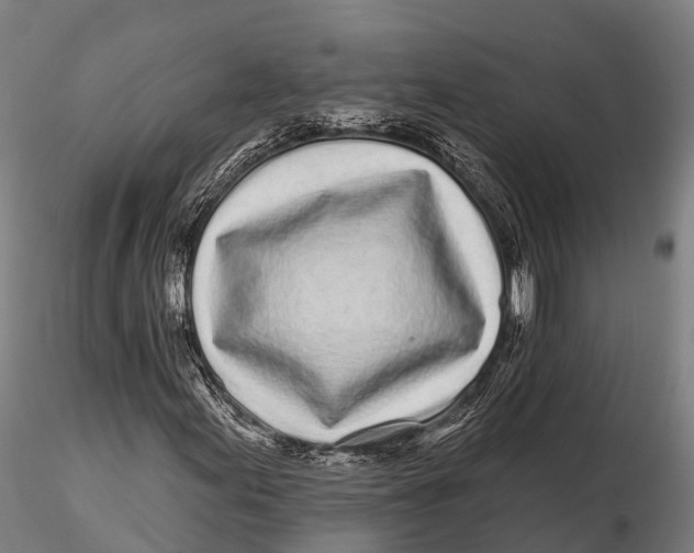 X0000115691155200912031436