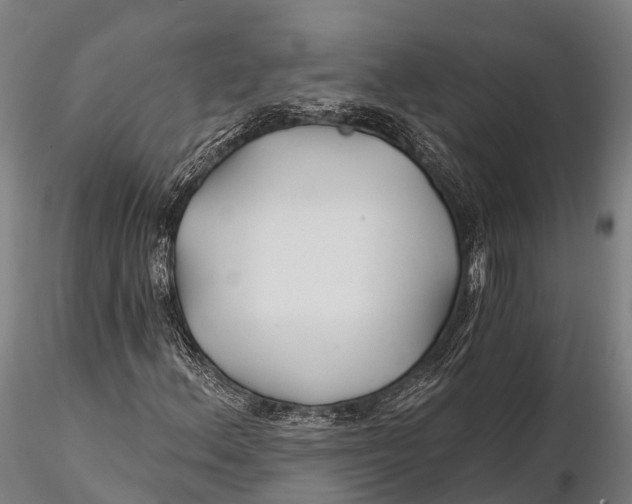 X0000115691156200912031436