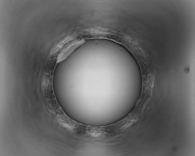 X0000115691157200912031436