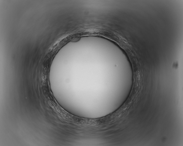 X0000115691158200912031436