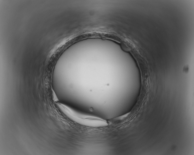 X0000115691159200912031436