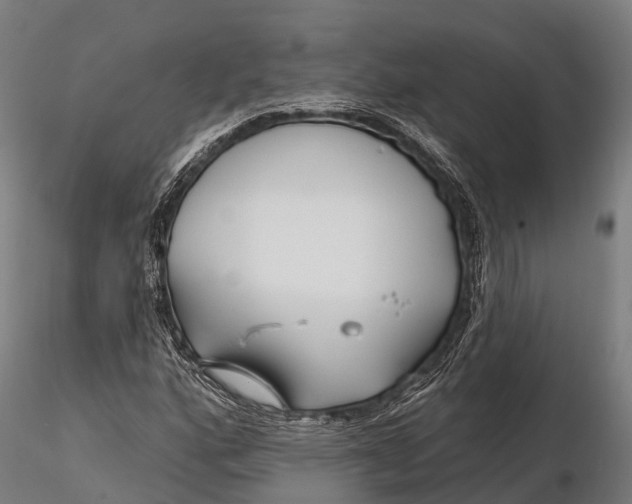 X0000115691160200912031436