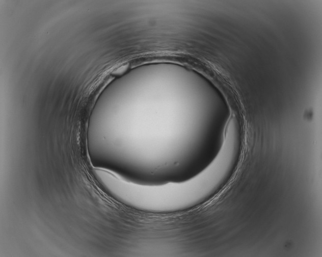 X0000115691161200912031436