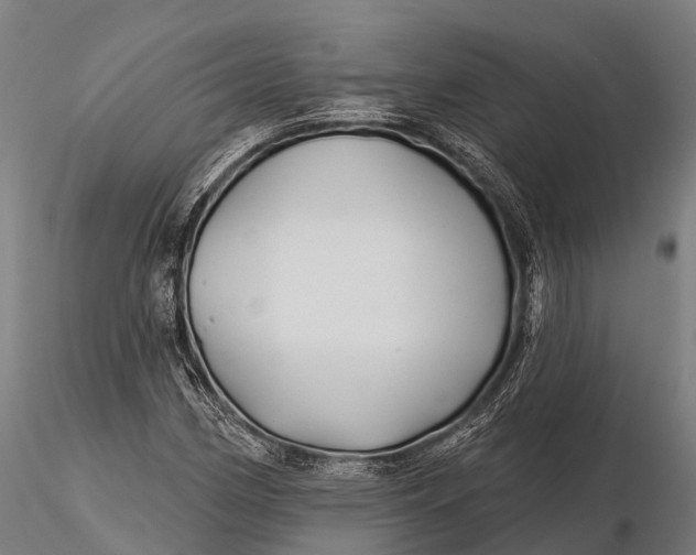 X0000115691162200912031436