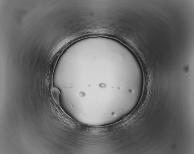 X0000115691163200912031436