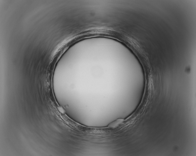 X0000115691164200912031436