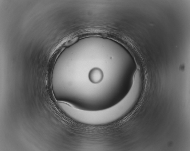 X0000115691165200912031436