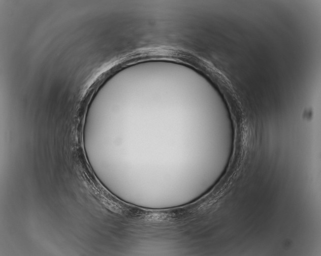 X0000115691166200912031436