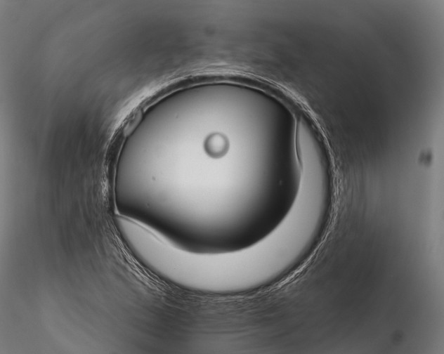 X0000115691167200912031436