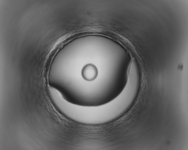 X0000115691168200912031436