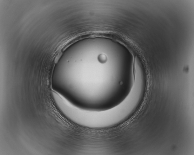 X0000115691169200912031436