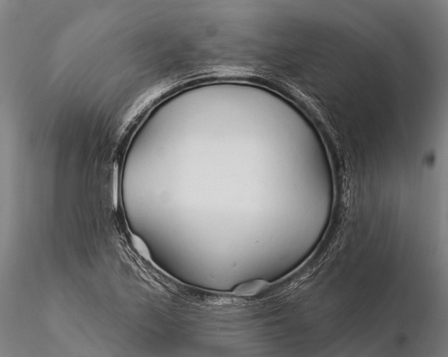 X0000115691171200912031436