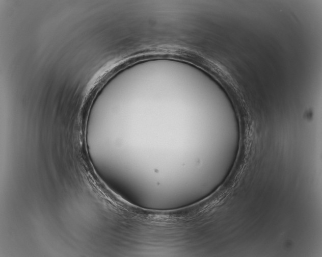 X0000115691172200912031436