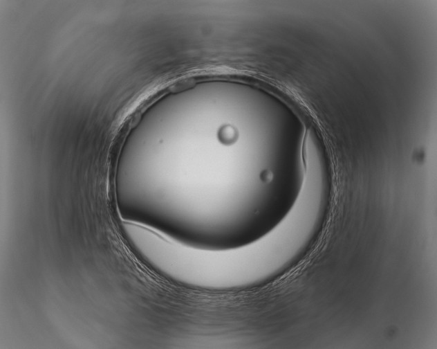 X0000115691173200912031436