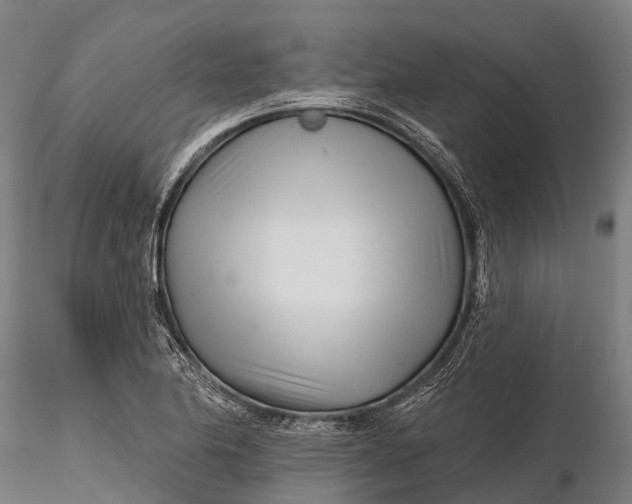 X0000115691174200912031435