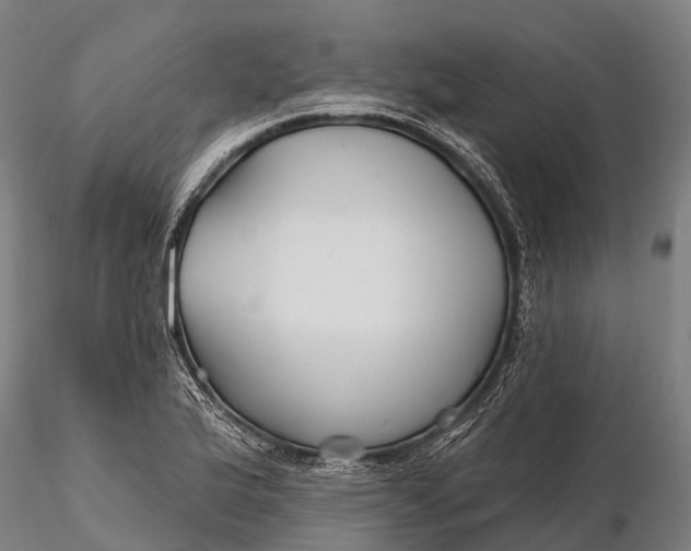 X0000115691175200912031435