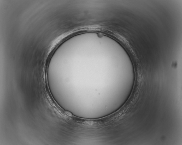 X0000115691176200912031435