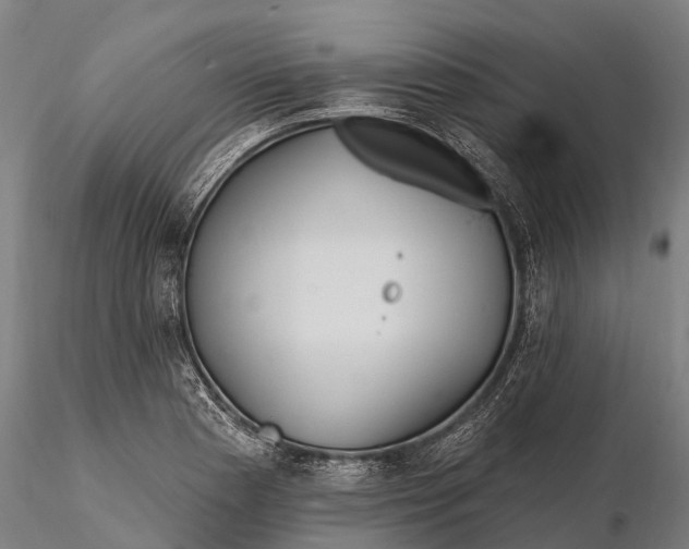 X0000115691177200912031435