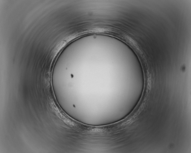 X0000115691178200912031435