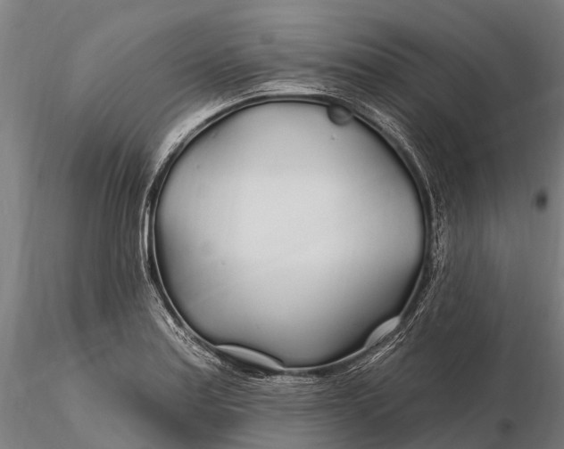 X0000115691179200912031435