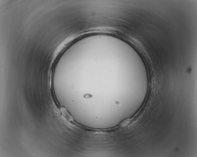 X0000115691180200912031435