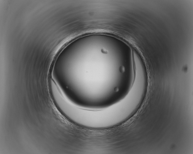 X0000115691181200912031435