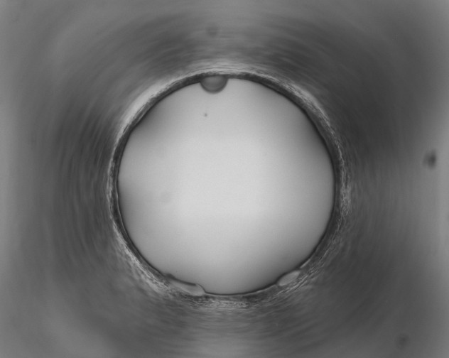 X0000115691183200912031435