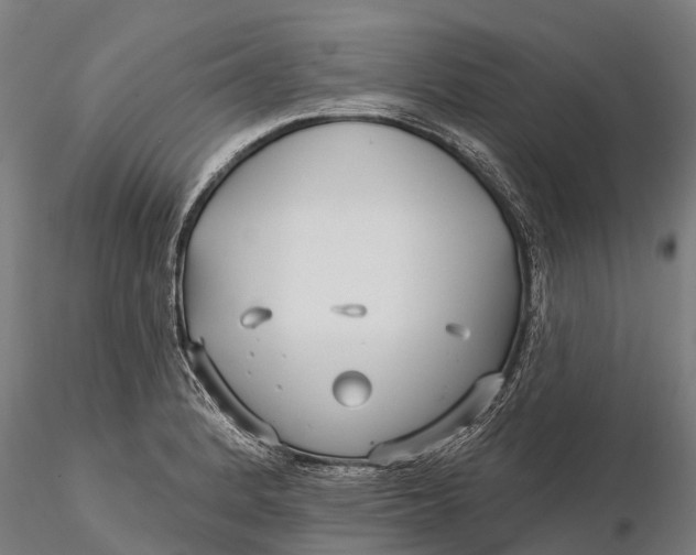 X0000115691184200912031435