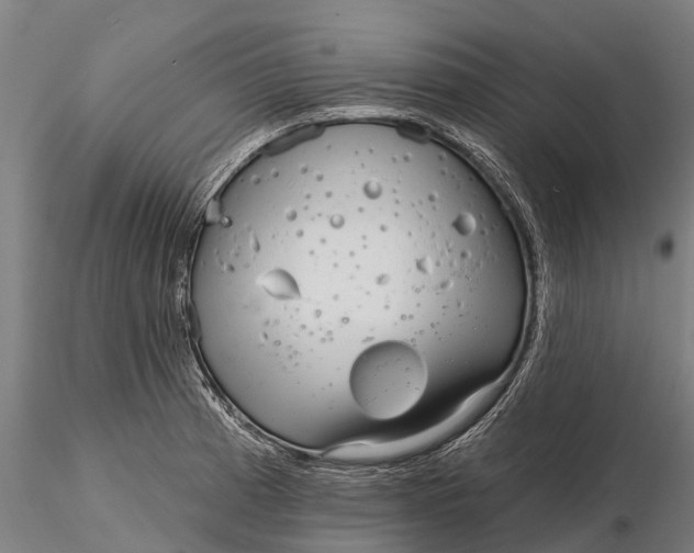 X0000115691185200912031435