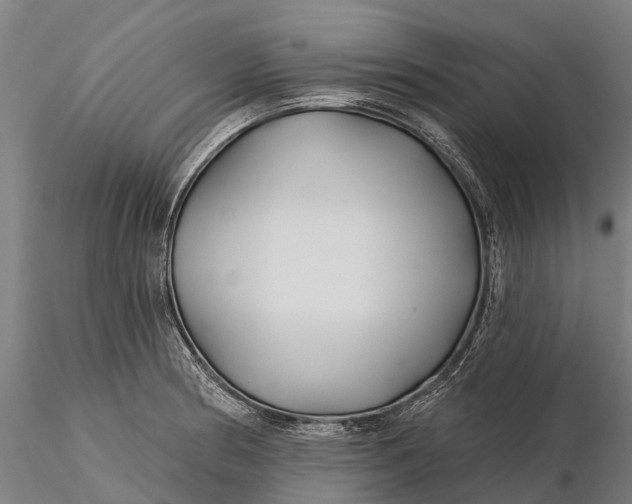 X0000115691186200912031435