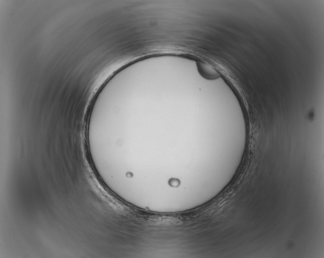 X0000115691187200912031435