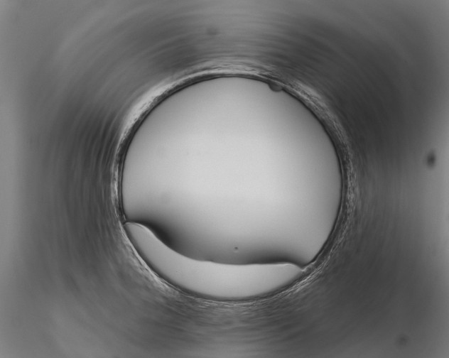 X0000115691188200912031435