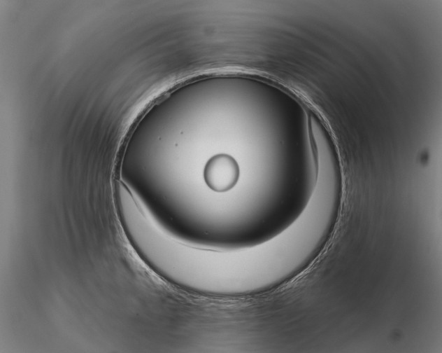 X0000115691189200912031435