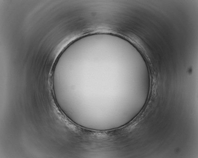 X0000115691190200912031435