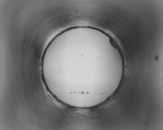 X0000115691191200912031435