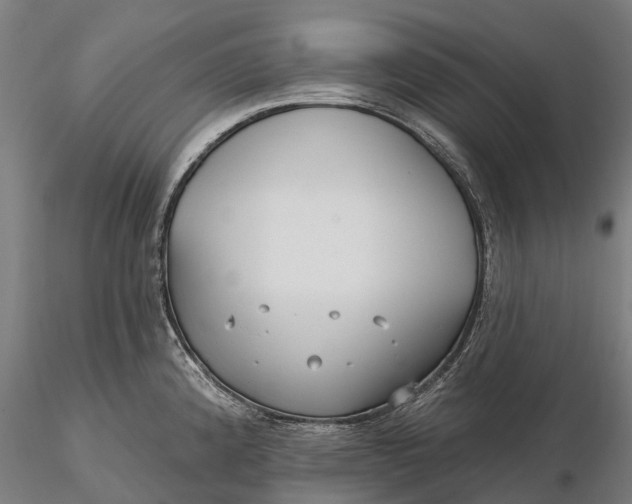 X0000115691192200912031435