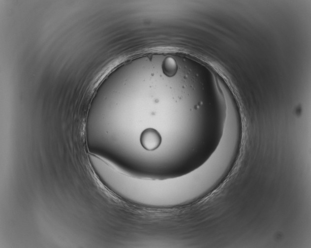 X0000115691193200912031435