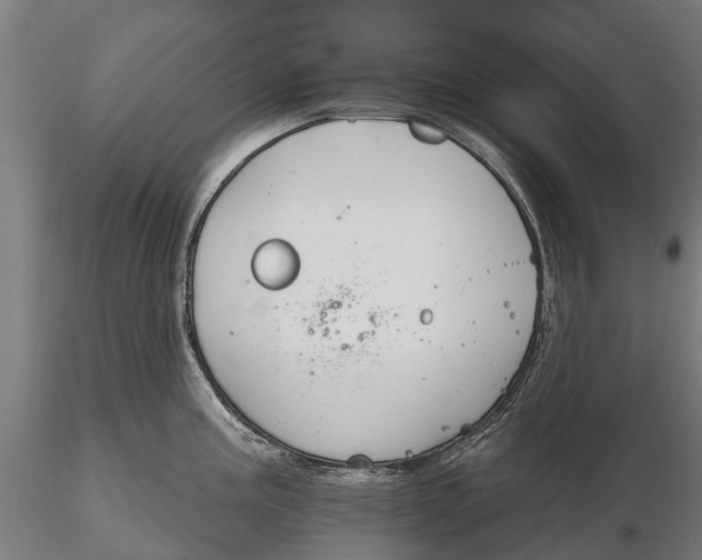 X0000115691195200912031435