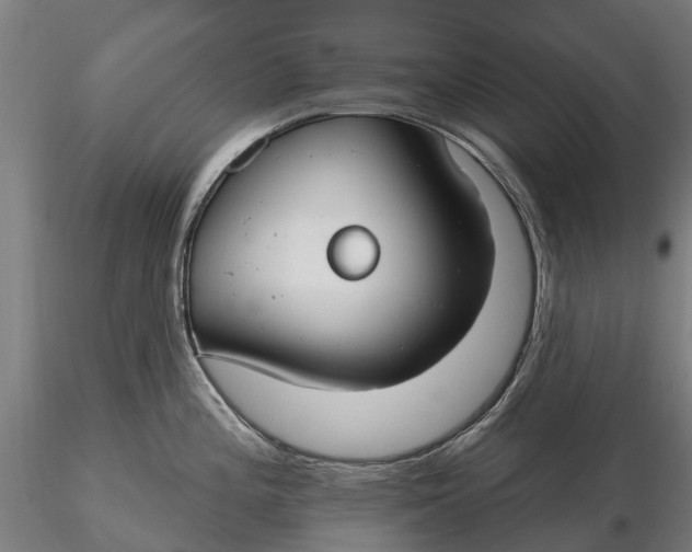 X0000115691196200912031435