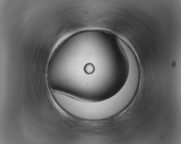 X0000115691197200912031435