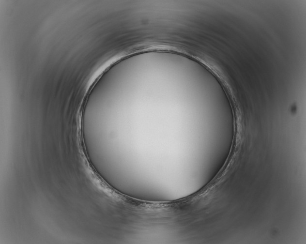 X0000115691198200912031435