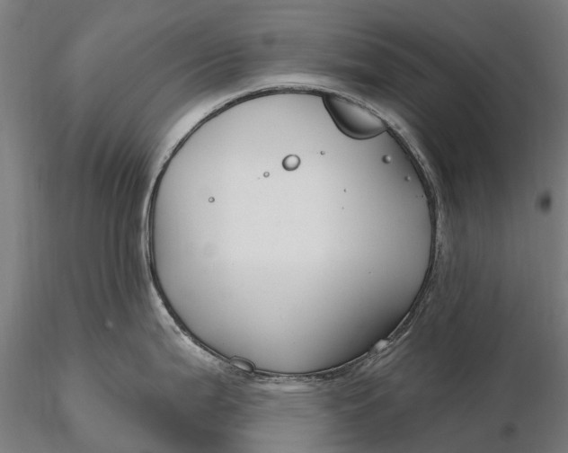 X0000115691199200912031435