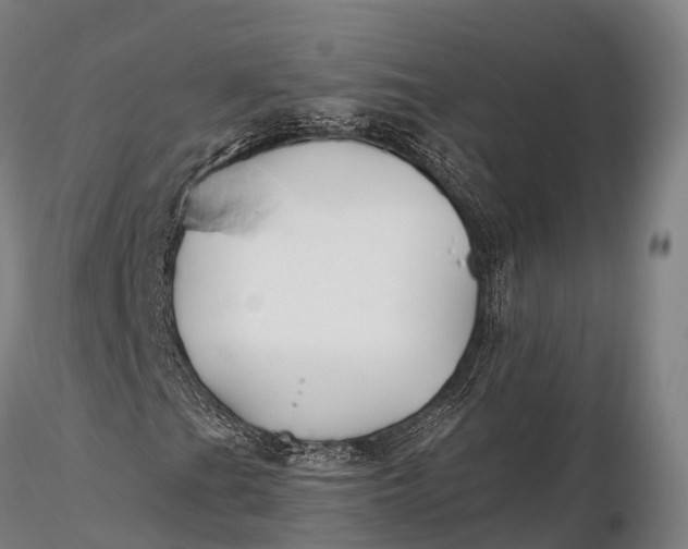 X0000115691201200912031434